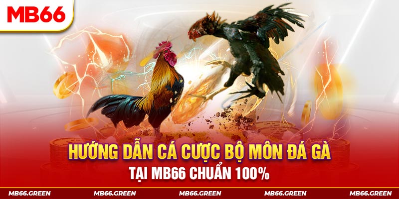 ok99 kết quả xổ số miền bắc ngày hôm nay
