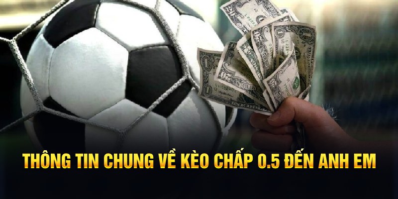 ok99 nổ hũ b29 là gì