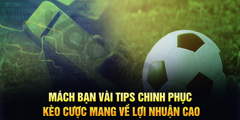 ok99 đăng nhập phỏm hàng đầu