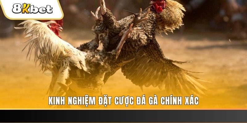 ok99 xổ số thứ bảy hàng tuần