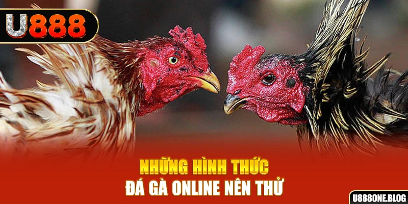 ok99 nổ hũ ai là gì