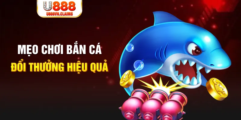 ok99 gà chọi cam ranh