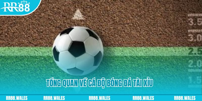 ok99 đăng nhập roulette online