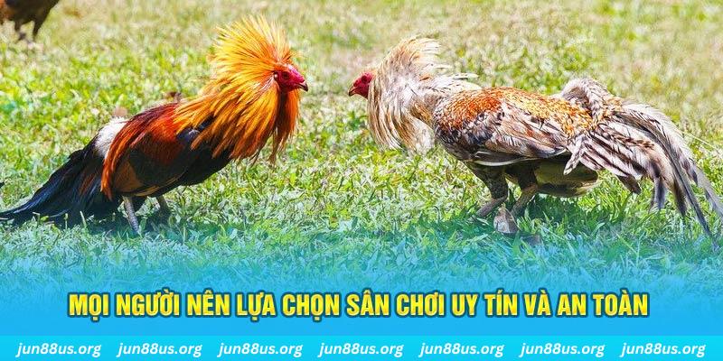 ok99 Cỡ bảy