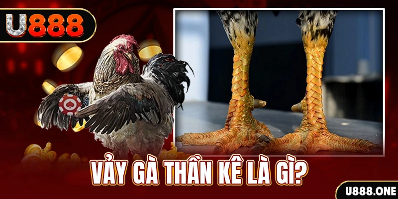 ok99 đăng nhập poker khuyến mãi