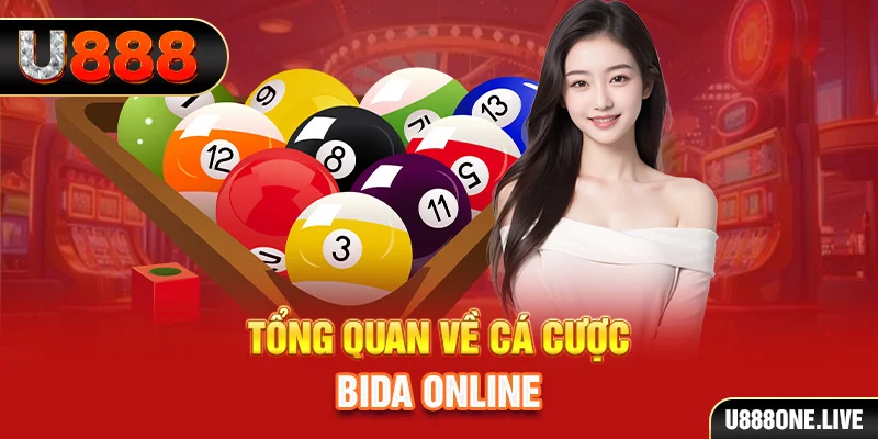 ok99 xem xổ số miền bắc
