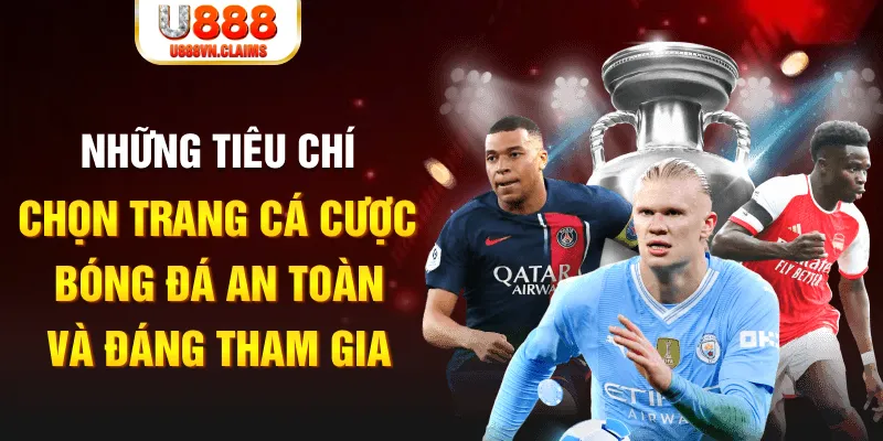 ok99 cá cược thể thao là gì