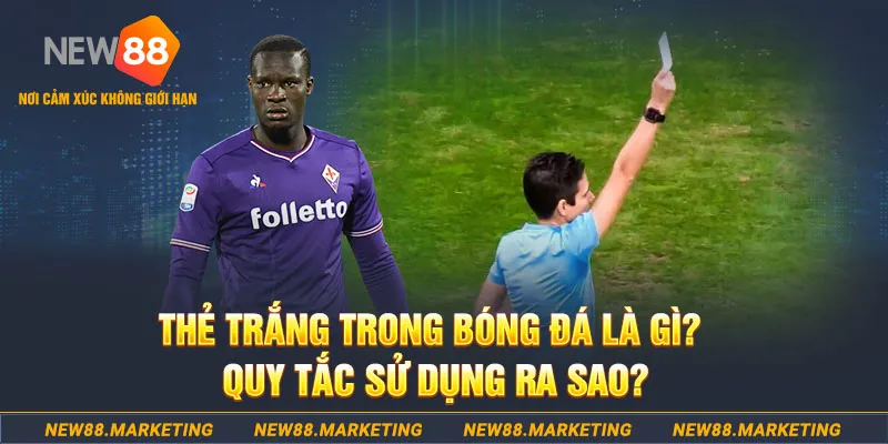 ok99 đăng nhập sòng bạc hôm nay