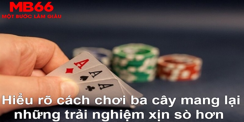 ok99 ÁT CHỦ MÁY HOA QUẢ THẦN TÀI