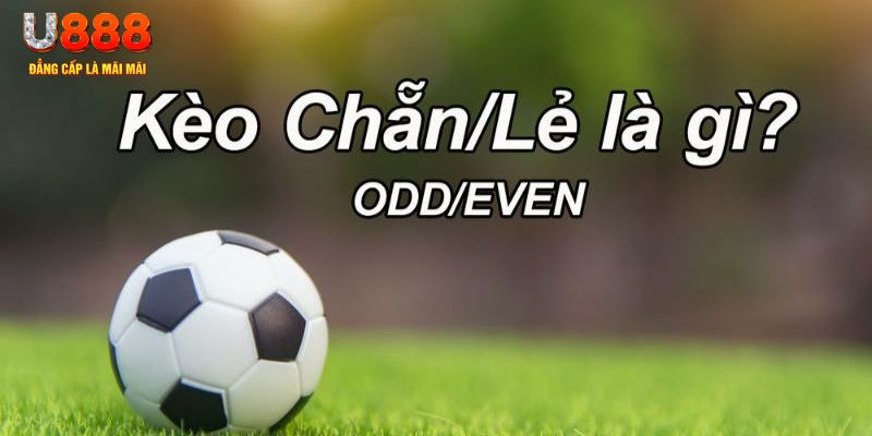 ok99 đăng nhập sòng bạc 2024