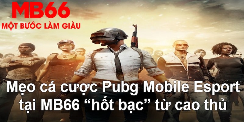 ok99 đăng nhập poker hàng đầu