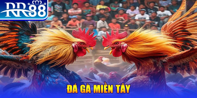 ok99 người chia bài trong casino gọi là gì