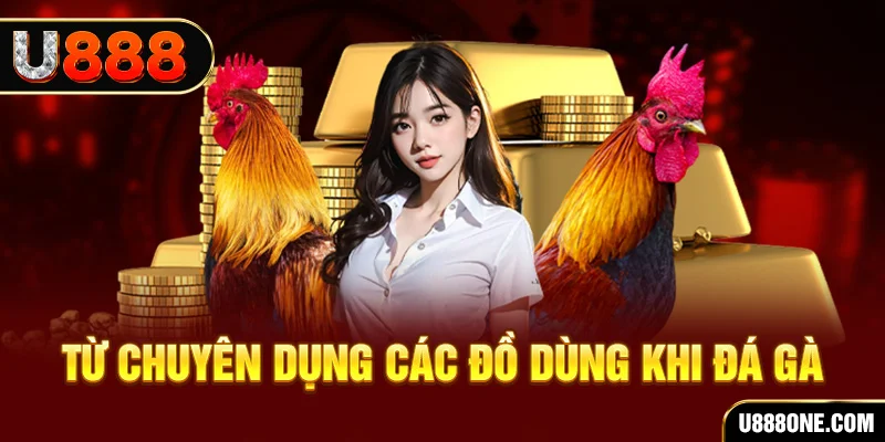 ok99 đá gà trực tiếp campuchia